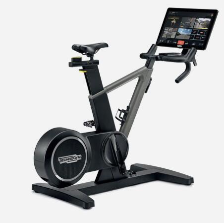 Technogym Ride